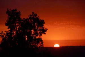 Sonnenlicht